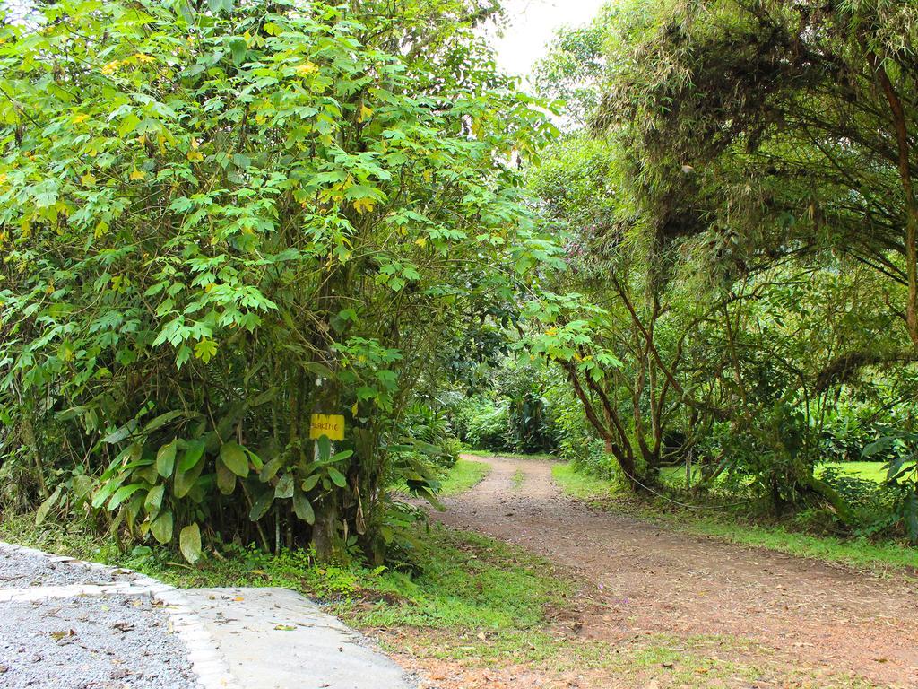 El Septimo Paraiso Mindo Bagian luar foto